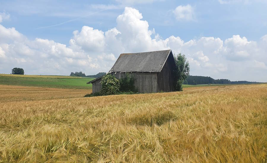 barn