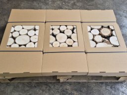 Holzpaneele mit Birkenscheiben