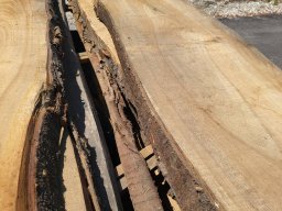 Schnittholz Kirschbaum