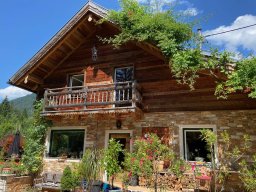 Original Gehackt Blockwand